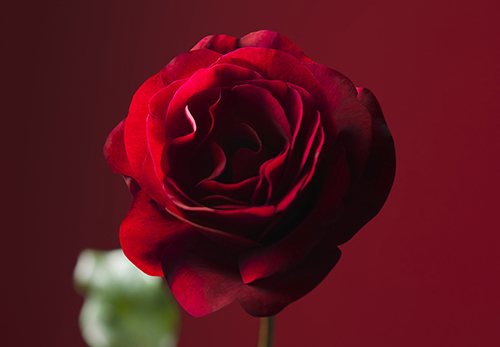 66809c78b7e680357ea82b31cd716c