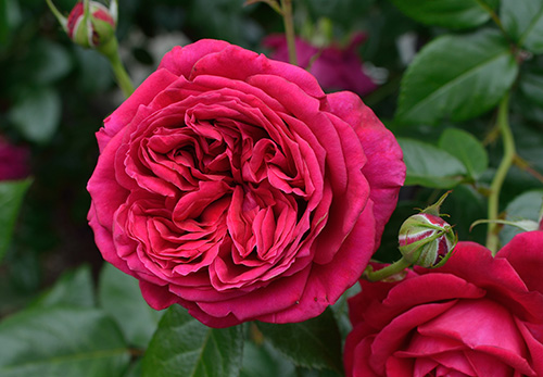 bf580ed77bbf0641d6fdcfdbd0fbdb